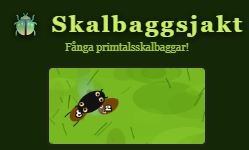 skalbaggsPrimtal.png 