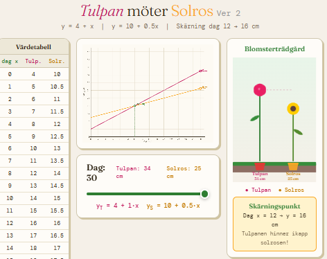 tulpanSolros.png